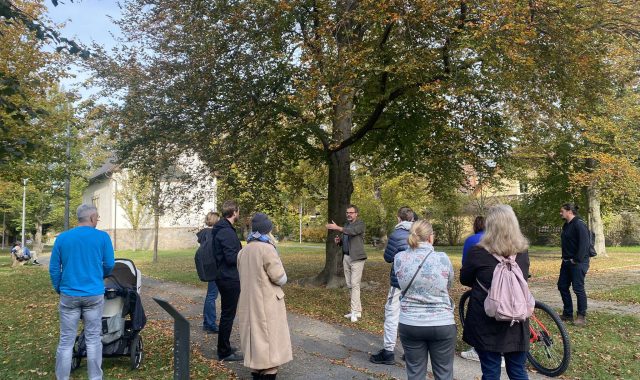 462546368_586392093773041_4493419223732325174_n