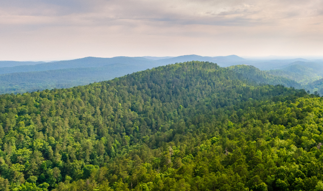 Customer Relations Facebook Post in Neon Pink Black Bold Gradient Style