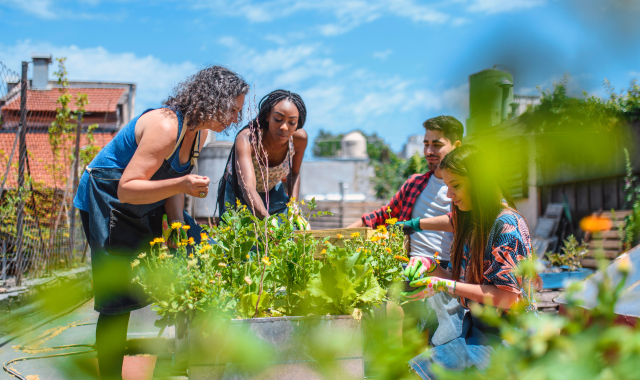 Návrh bez názvu (11)